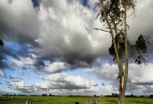 西班牙vs丹麦，这场足球对决有哪些看点和潜在走向？