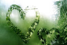 门兴格拉德巴赫球衣有哪些独特设计与故事？