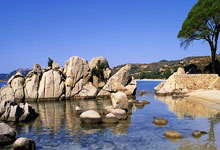 今天英冠比赛有哪些亮点和冷门？